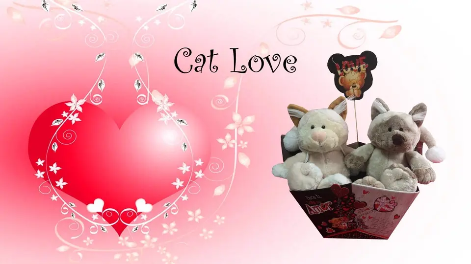 Gift 5 Cat Love