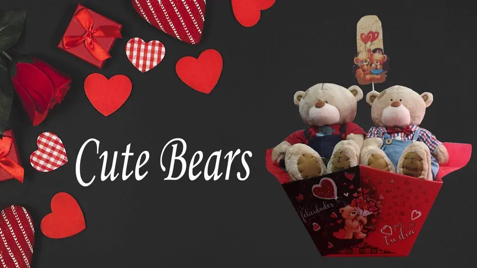 Gift 2 Cute Bears